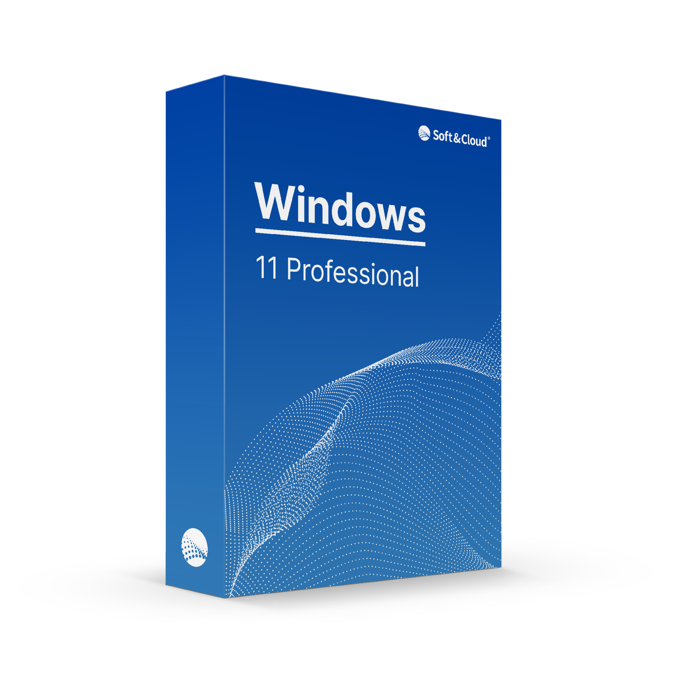 Windows 11 Professional Upgrade